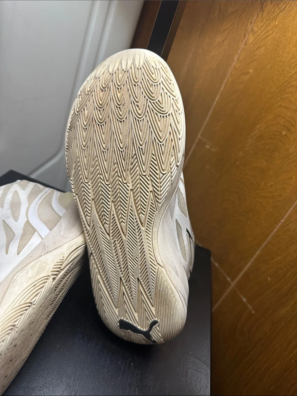 Puma Men's La Melo “Whispers”